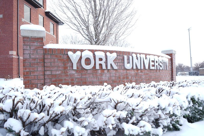 York University: Ranking, Courses, Fees, Admission & Scholarships